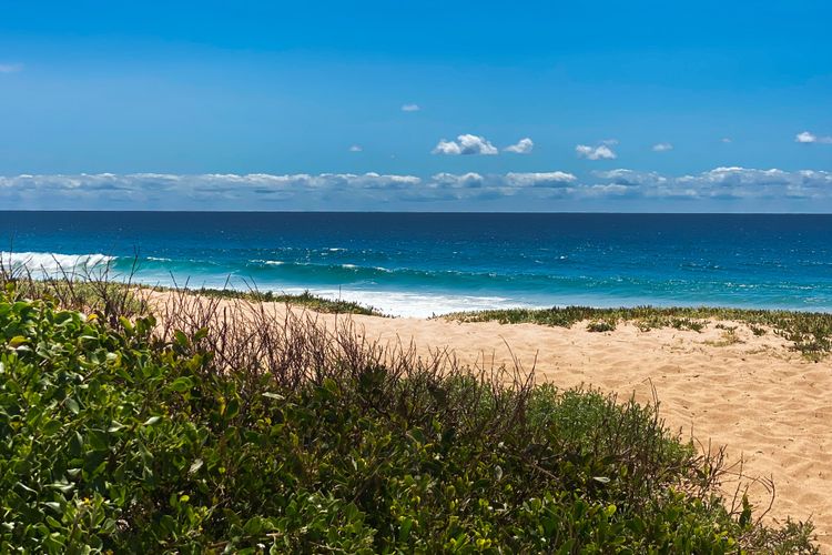 Paradise Escape Narrabeen IH