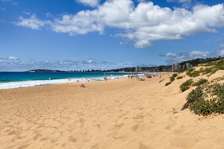 Paradise Escape Narrabeen IH