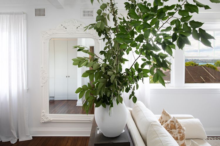 Deco Bay, Double Bay