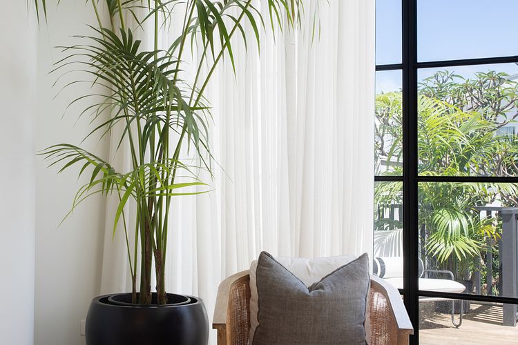 North Bondi Oasis IH