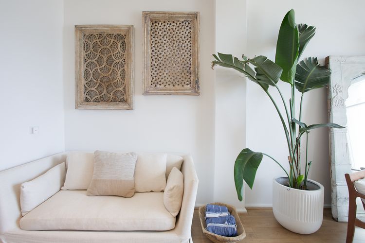 Drift House, Curl Curl ISYD