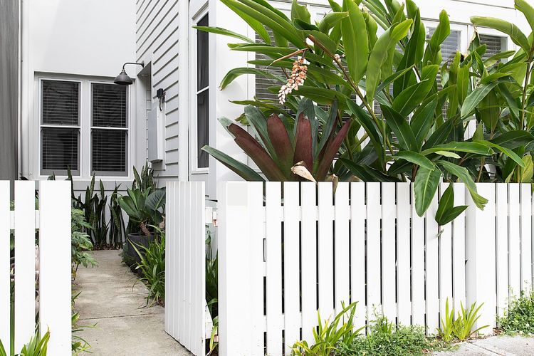 The Paddo, Paddington