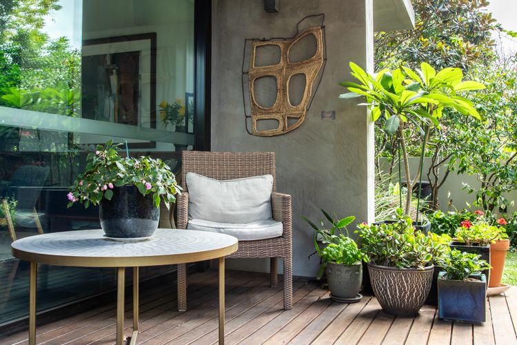 Canopy, Double Bay I90