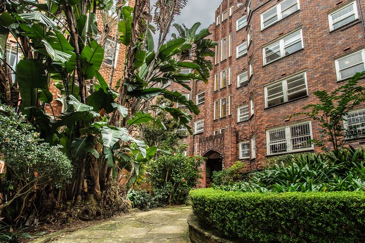 The Winchester, Edgecliff ISYD