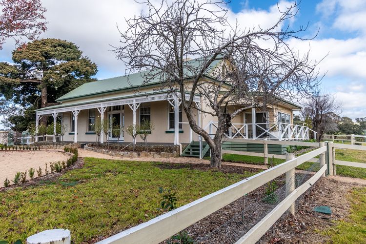 Mollison Park Farm