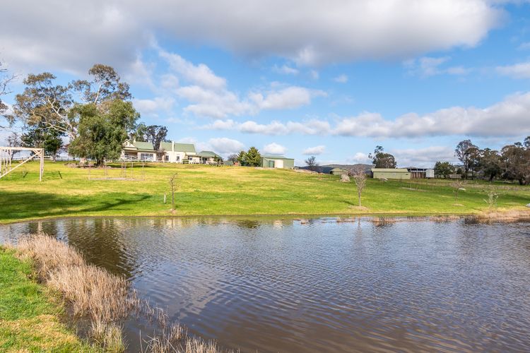 Mollison Park Farm