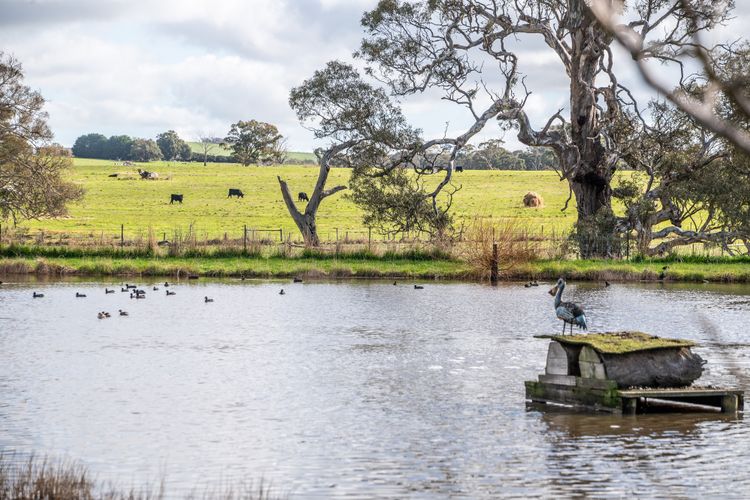 Mollison Park Farm