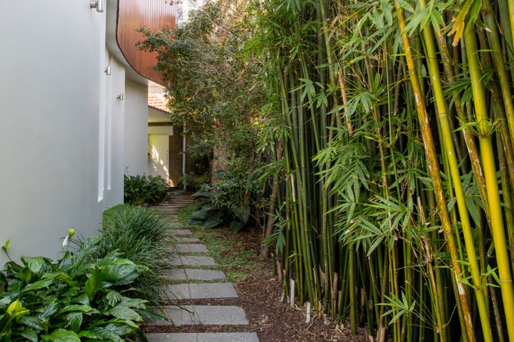 Marcel Abode, Randwick IH