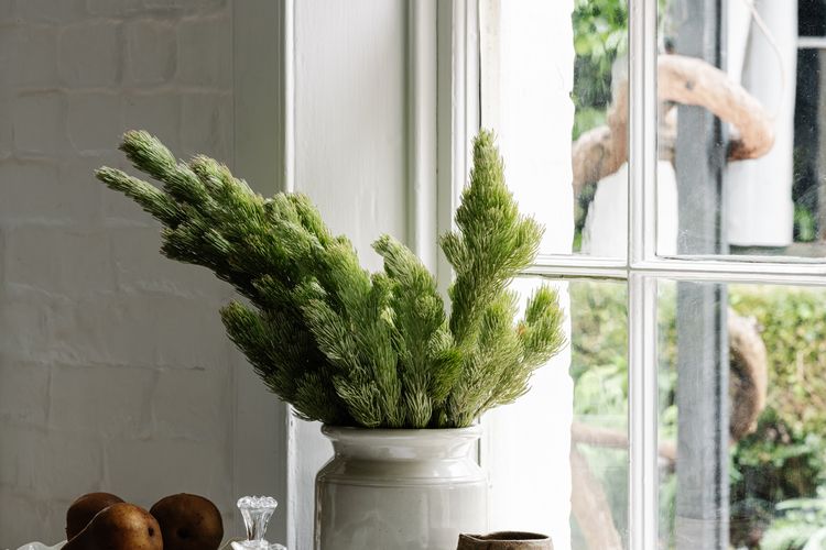 Gorgeous Georgian Beulah House TAS