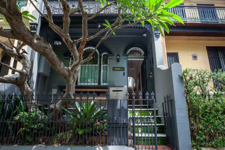 The Modern Botanist Newtown IH