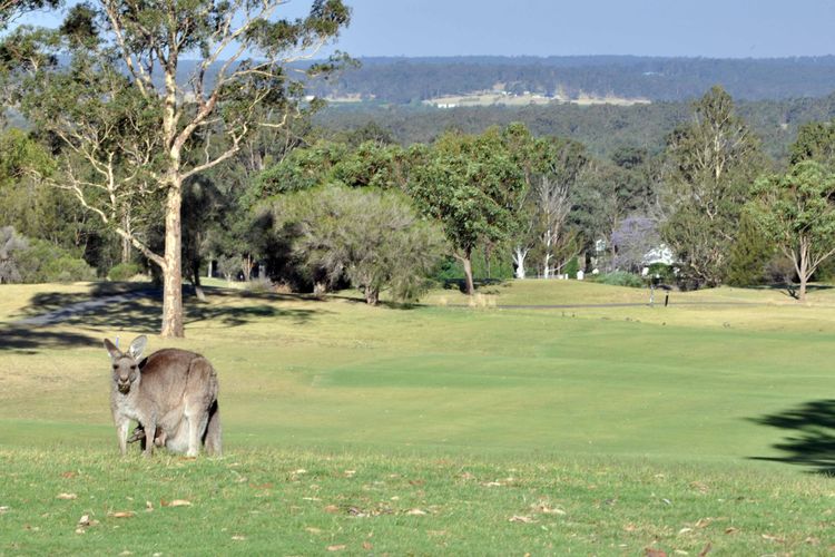 Golfing Onsite with Amazing Views!