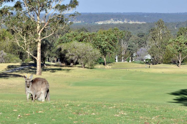 Golfing onsite with amazing views!
