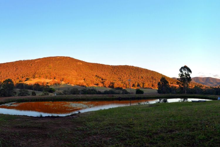 La Sila Homestead on Marrowbone – cutest cottage in the Hunter with killer views