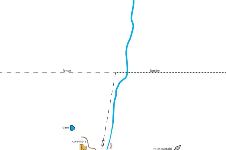Corymbia Cottage – Broke’s Secluded Escape for max 4 guests