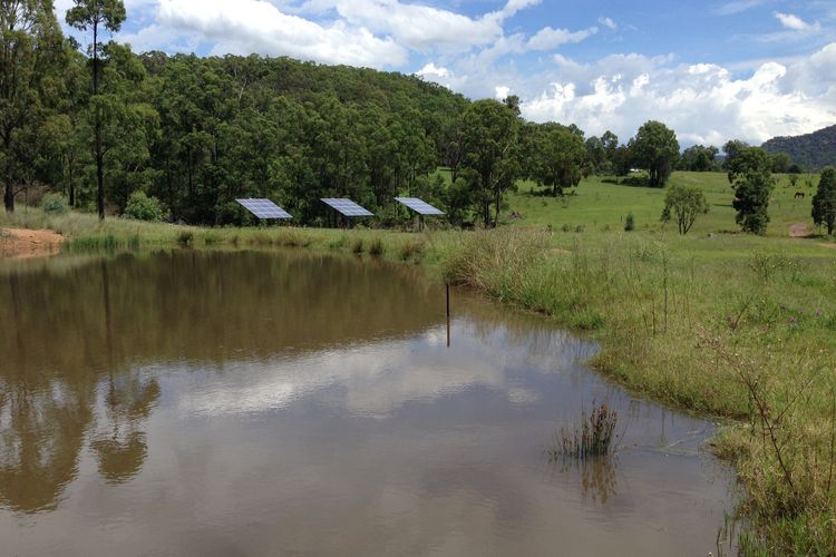 Corymbia Cottage – Broke’s Secluded Escape for max 4 guests