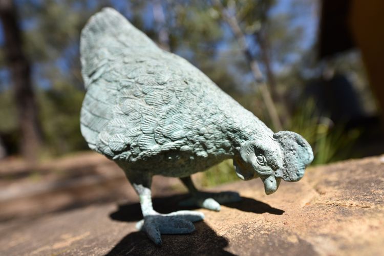 Corymbia Cottage – Broke’s Secluded Escape for max 4 guests