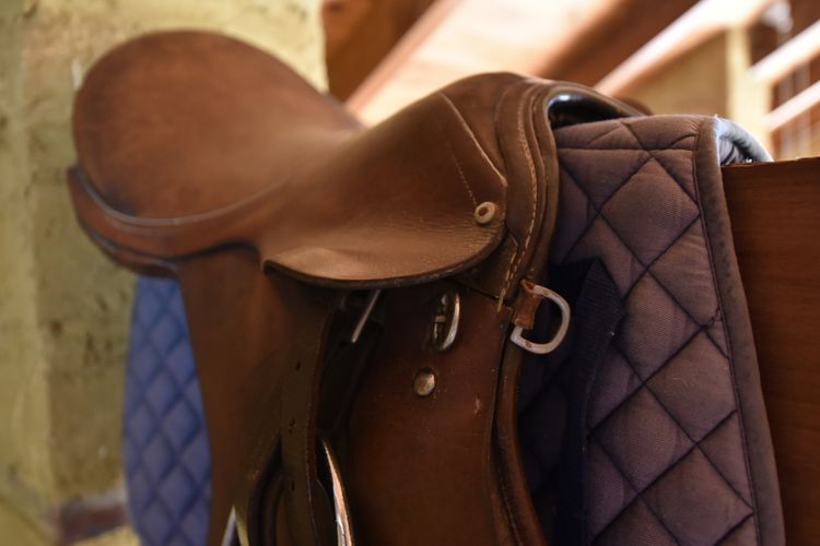 Corymbia Cottage – Broke’s Secluded Escape for max 4 guests