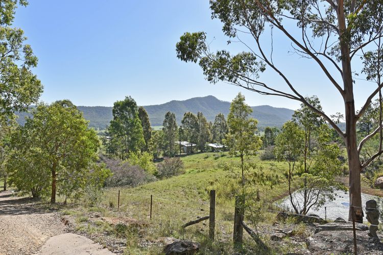 Quirky cabin in bushland