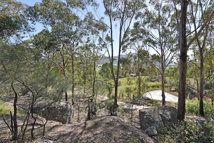 Quirky cabin in bushland
