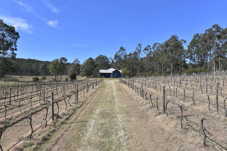 The Parson’s Vineyard Retreat – get amongst the vineyards in a historic home