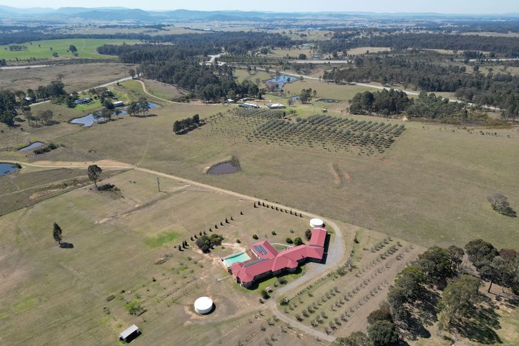 Noble Willow Homestead Lovedale. Super Spacious, with views and pool