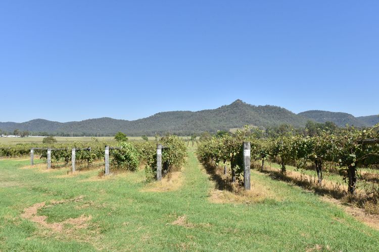 Somerville Wine Cottage Hideaway 3-Bedroom Cottage Near Broke Wineries