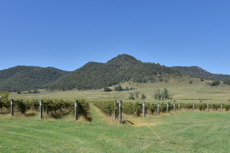 Somerville Wine Cottage Hideaway 3-Bedroom Cottage Near Broke Wineries