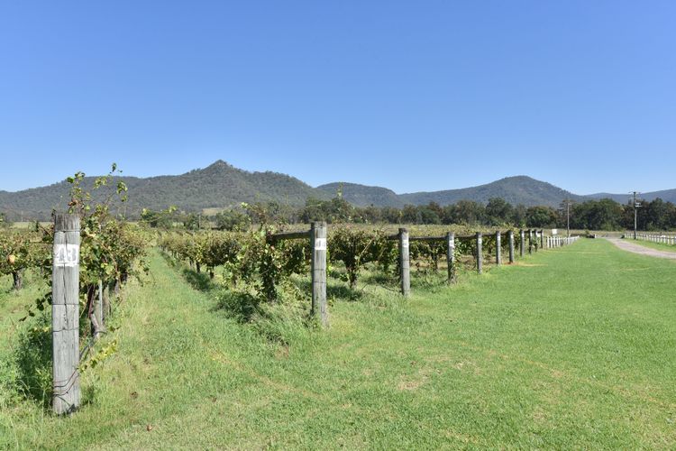 Somerville Wine Cottage Hideaway 3-Bedroom Cottage Near Broke Wineries