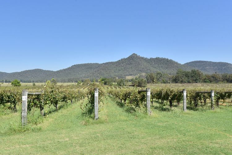 Somerville Wine Cottage Hideaway 3-Bedroom Cottage Near Broke Wineries