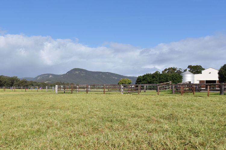 Malolo Park Guest House in the Watagans – serenity