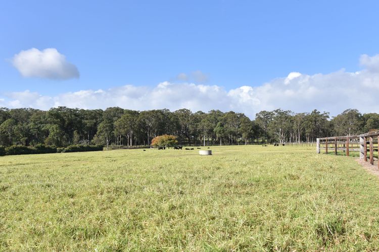 Malolo Park Guest House in the Watagans – serenity