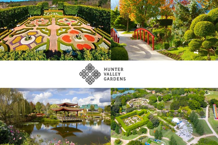 Silver Springs Estate 4br house + 6br house with Wifi, Pool. Fireplace, Views, Olives and Space