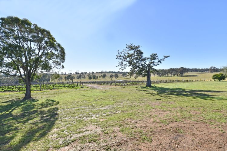 Kinloch Cottage Stunning Stay on Daisy Hill Vineyard