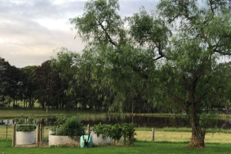 Kinloch Cottage Stunning Stay on Daisy Hill Vineyard