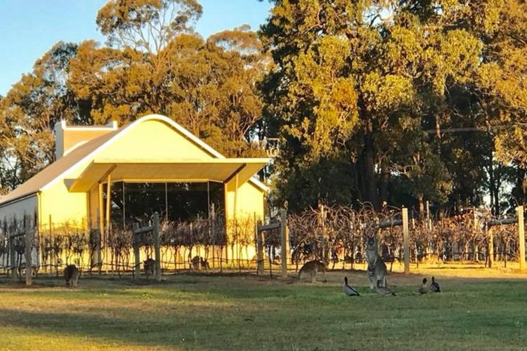 Ironbark Hill Villa 3 – Saperavi