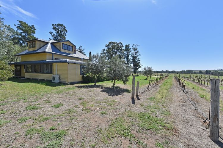 Soldiers Cottage Picturebook Vineyard Oasis