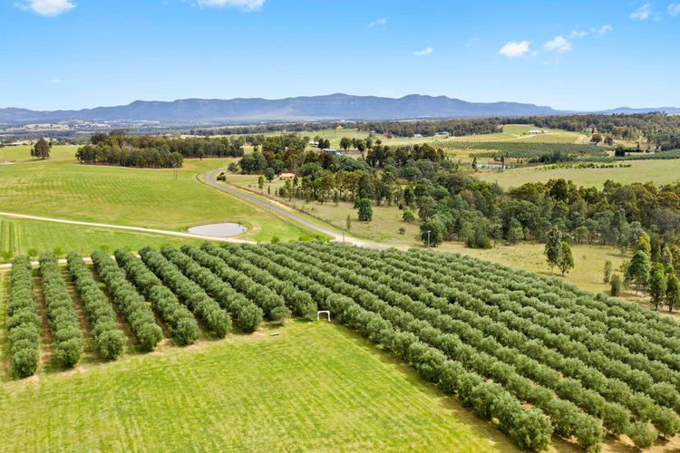 Charming Bed & Breakfast Villas Nestled in the Vineyards
