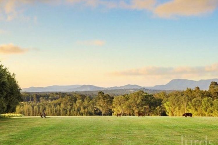 Block Eight Estate Tree Tops Villa