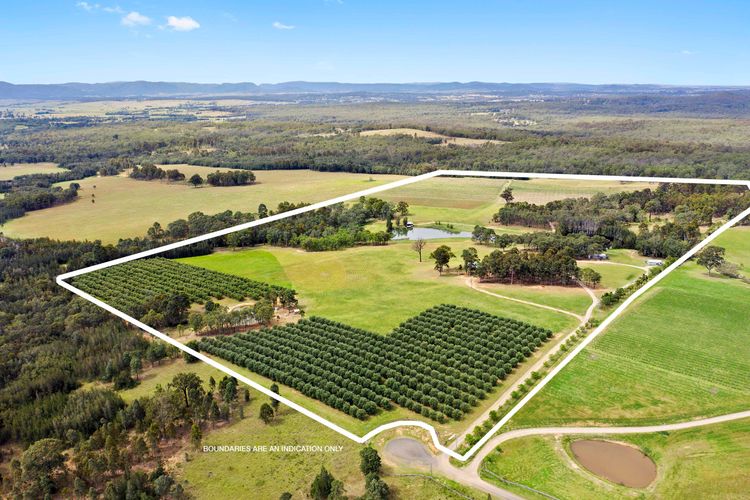 Charming Bed & Breakfast Villas Nestled in the Vineyards