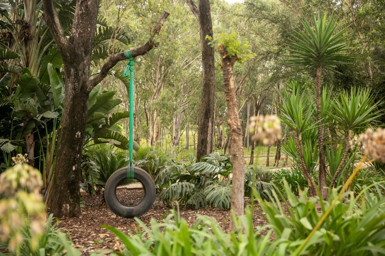 Fig Tree Guest House