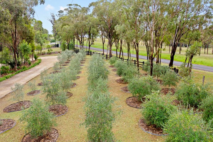 Countryside home with amazing views!