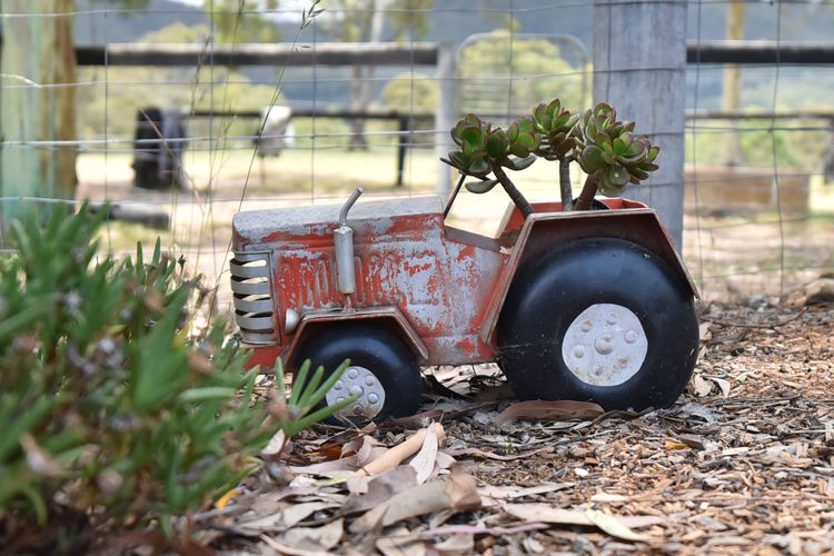 Wallaby Gully Farm Cottage – Peace, Quiet, Serenity