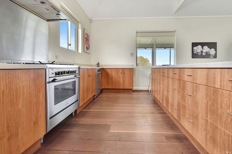 Olives and Vines at Majors Lane