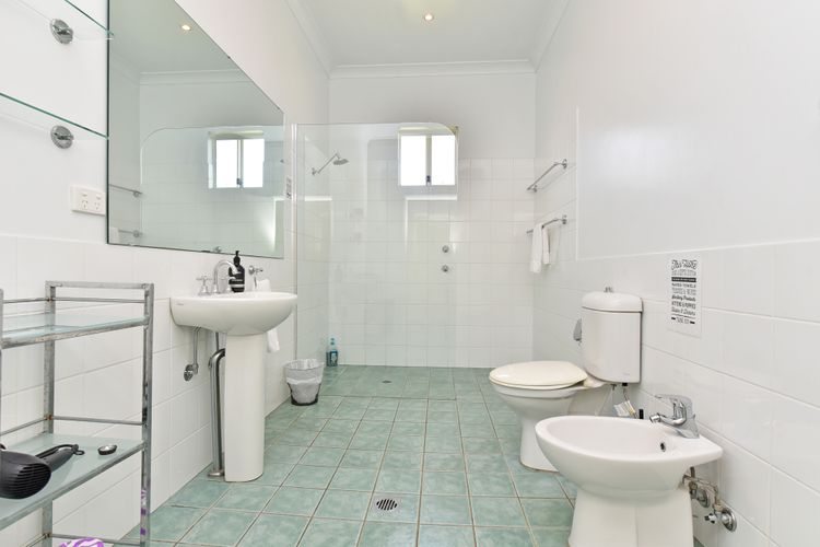 Olives and Vines at Majors Lane