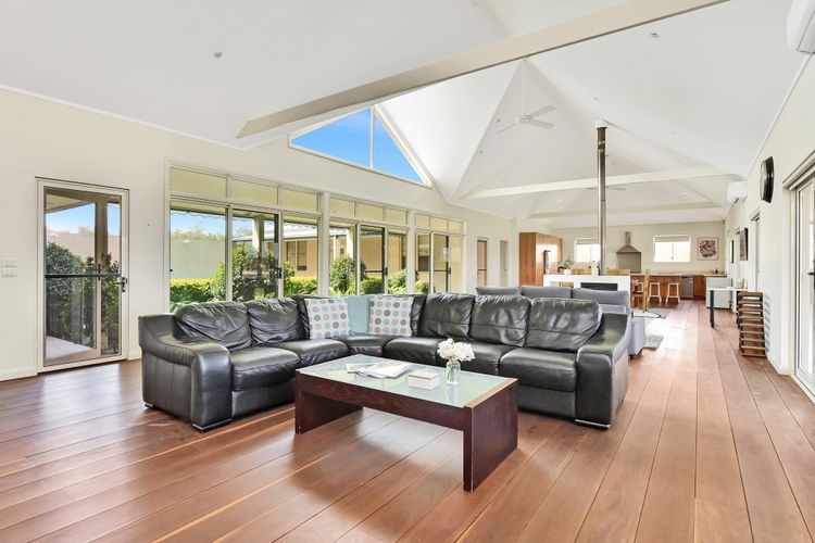 Olives and Vines at Majors Lane