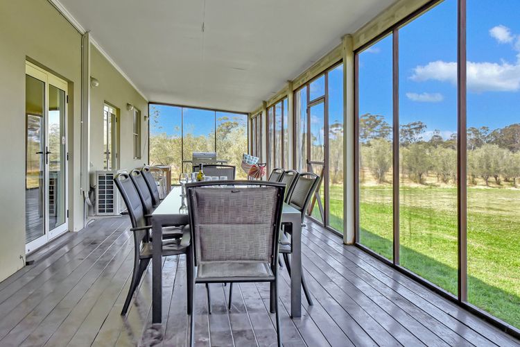 Olives and Vines at Majors Lane