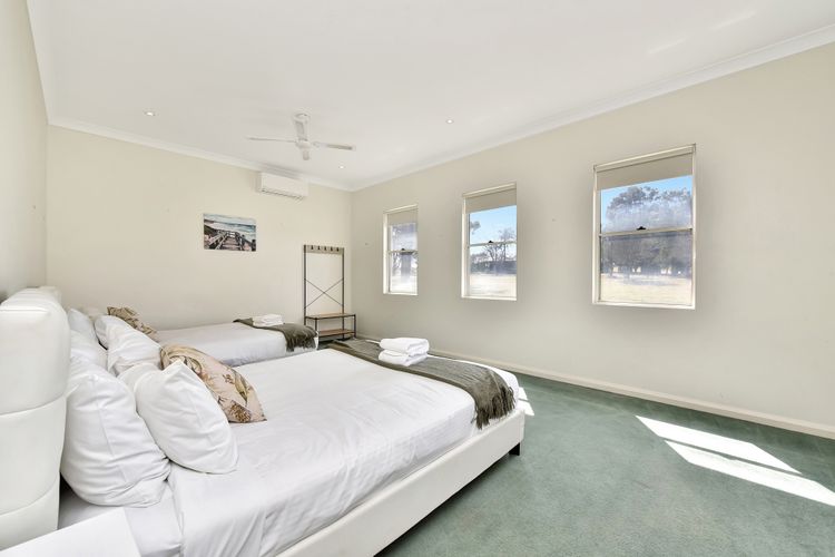 Olives and Vines at Majors Lane