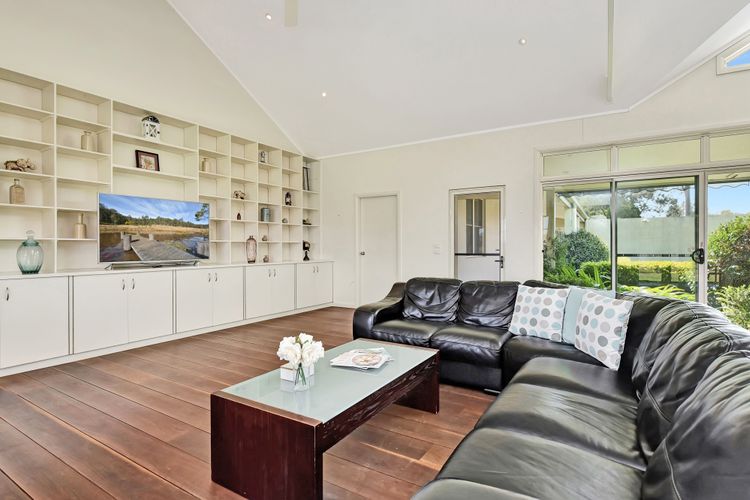 Olives and Vines at Majors Lane