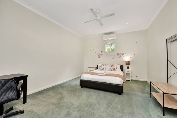 Olives and Vines at Majors Lane