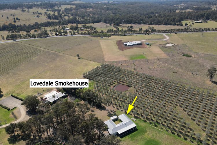 Olives and Vines at Majors Lane